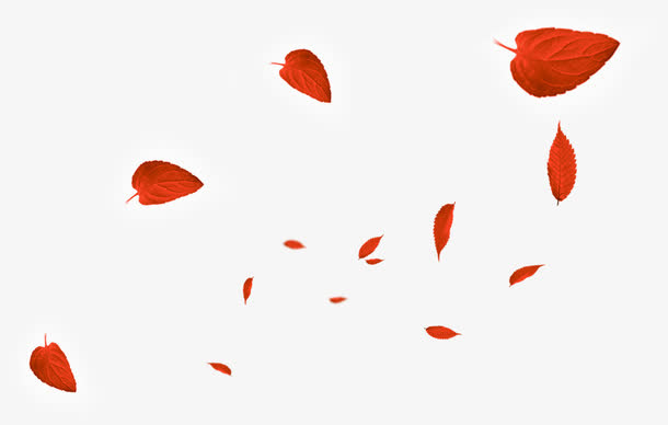 撒落的大小不一的枫叶免抠