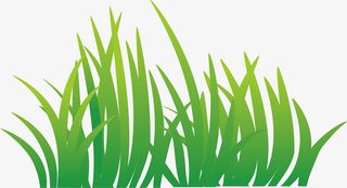 绿草节日装饰假草免抠手绘/卡通卡通元素