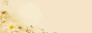 中国风素雅莲花背景高清