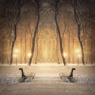 明亮灯光与长椅树木高清