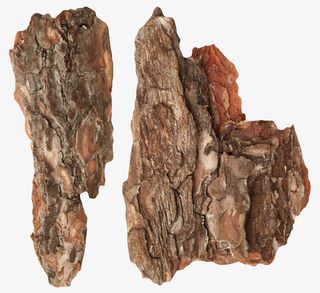 红色腐朽树皮旧木块实物免抠