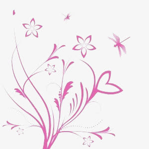 盛开的兰花免抠