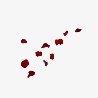玫瑰花瓣免费png素材免抠