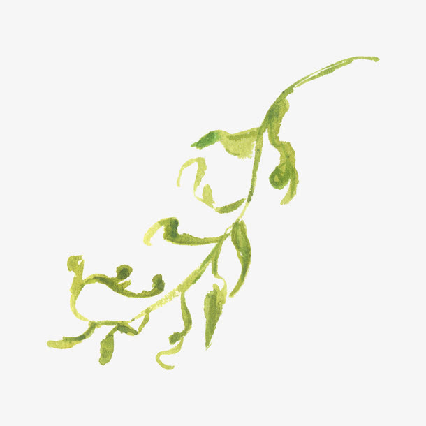 水彩手绘绿色小清新树藤免抠