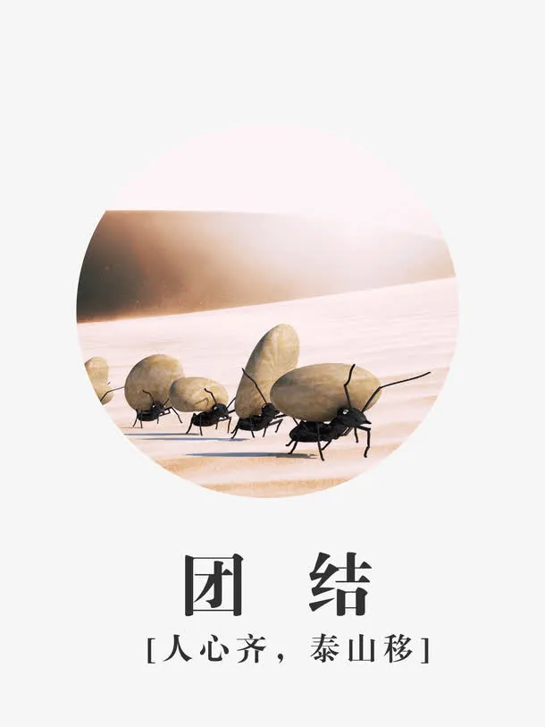 团结共赢免抠