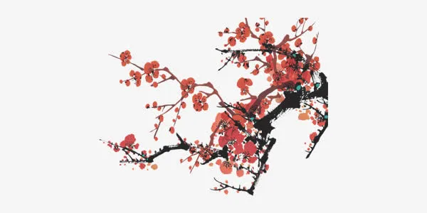 中国画梅花免抠