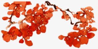 红色手绘树叶树枝插画免抠