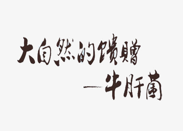 野生蘑菇免抠