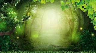 光森林沐浴露洗发水绿色背景高清