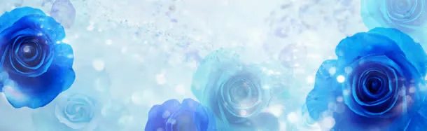 蓝色妖姬淘宝女装banner壁纸