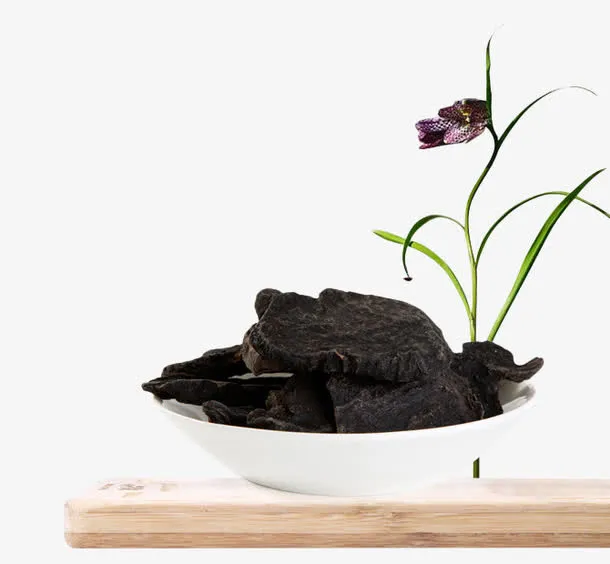 黑色何首乌免抠