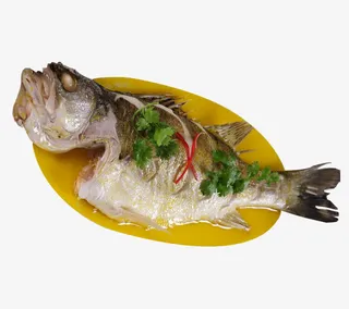 海鲈鱼半条免抠