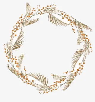 秋天唯美含羞草边框装饰品免抠