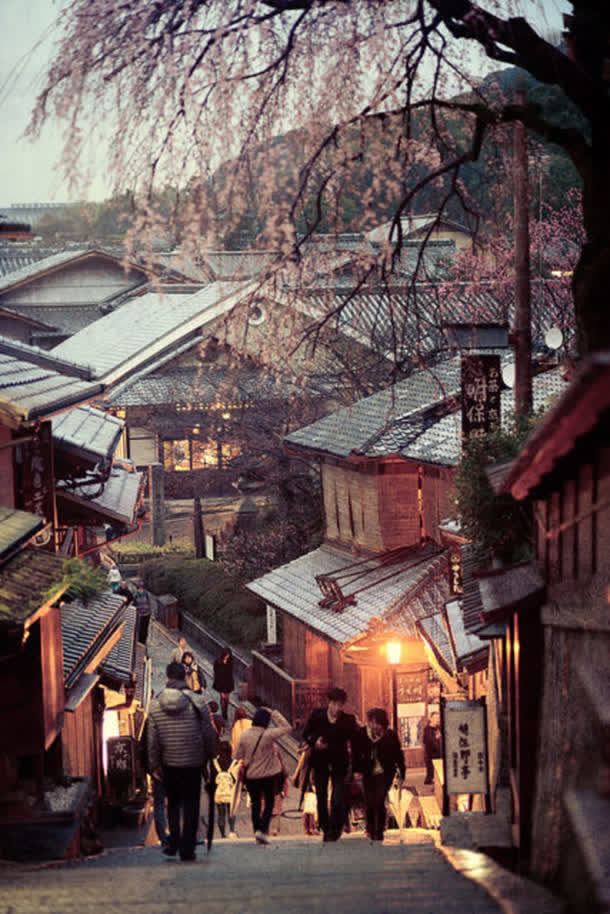 粉色樱花树枝房屋免抠
