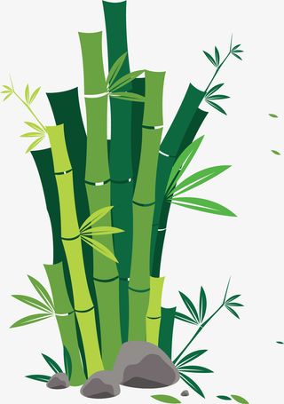 岁寒三友竹子免抠