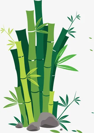 岁寒三友竹子免抠