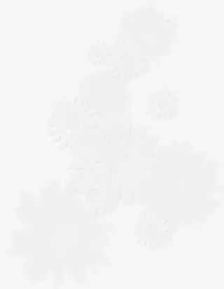 白色向日葵花朵免抠