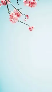 粉色梅花大屏背景 粉色梅花大屏背景