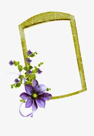 花框 花边免抠