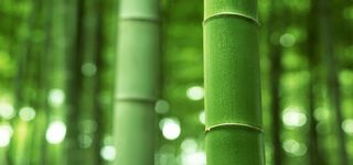 淘宝背景图高清