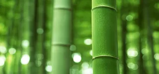 淘宝背景图高清