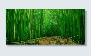 翠绿竹林清新文艺背景高清