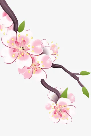 樱花树枝免抠