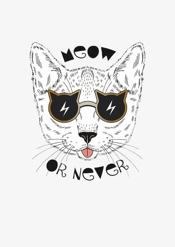 戴眼镜的猫咪免抠