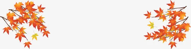 黄色渐变手绘枫叶免抠