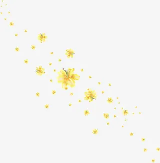 黄色花朵png素材免抠
