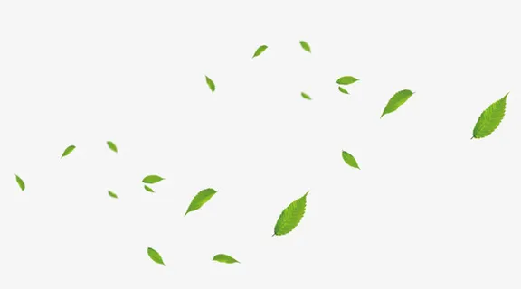 飘落的树叶子免抠