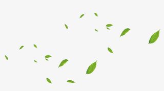 飘落的树叶子免抠