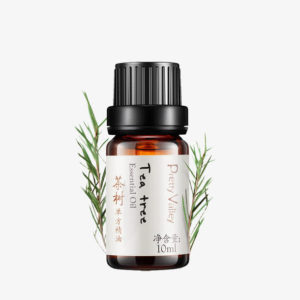 茶树精油tea tree免抠