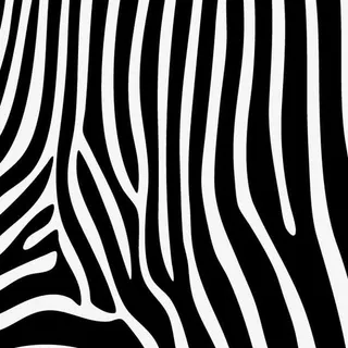 底纹 纹理 背景 动物纹理