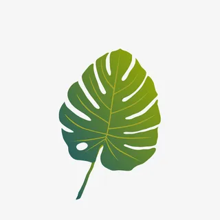 棕榈叶水彩素材图免抠