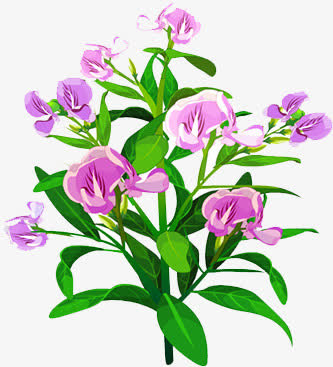 花树免抠