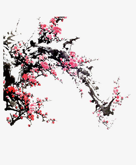 中国风梅花免抠