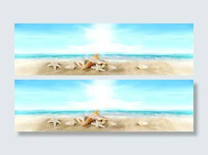 阳光大海海星背景