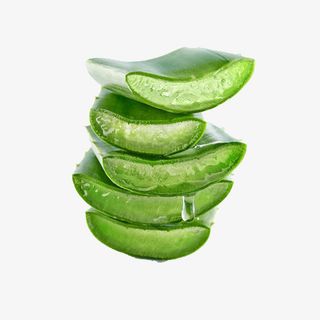 简约绿色芦荟免抠