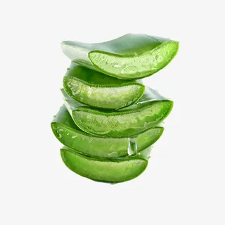 简约绿色芦荟免抠