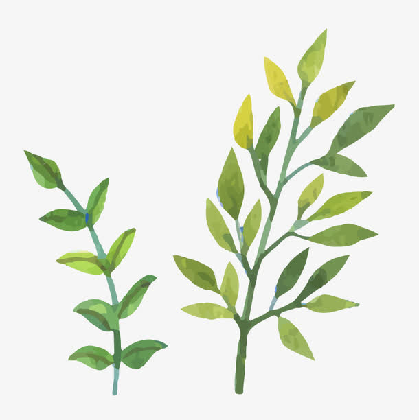 手绘树叶免抠