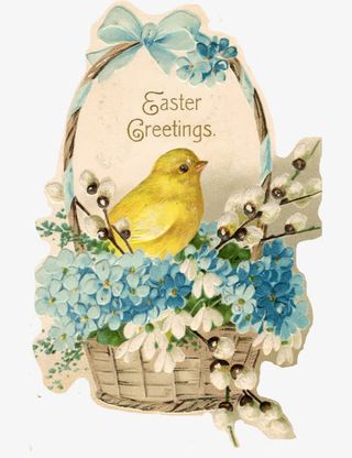 小清新的花和小鸟免抠