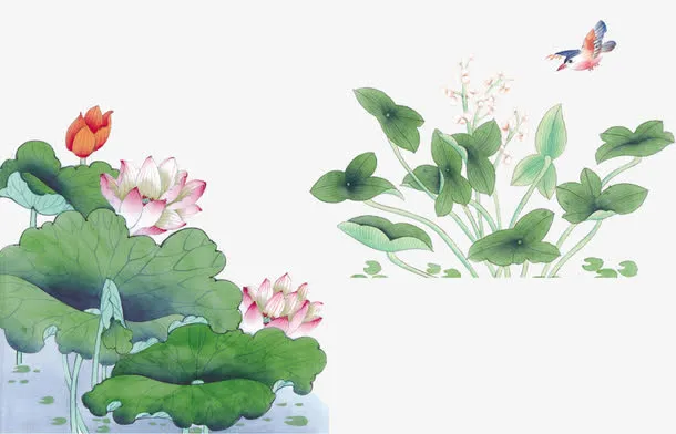 中国风花鸟素材免抠