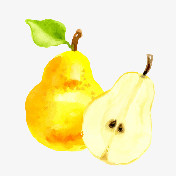 手绘黄色雪梨矢量图免抠