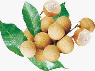 新鲜水果桂圆免抠