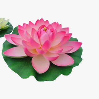 秧歌道具荷花免抠