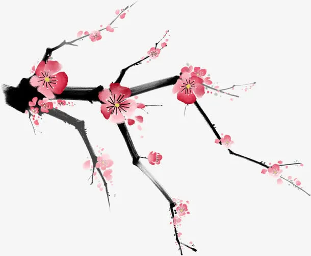 国画梅花素材免抠