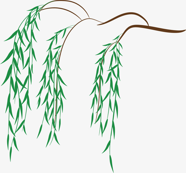 矢量图一枝绿色的柳叶免抠手绘/卡通卡通元素