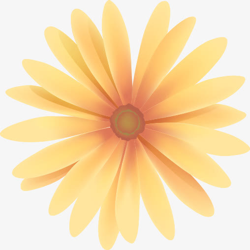 手绘花朵免抠