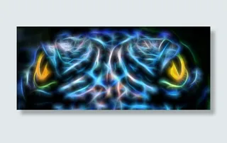 蟾蜍线绘PNG免抠